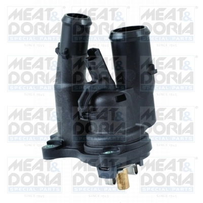 Thermostat, coolant